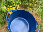 PANIER SOUPLE AGRICOLE 15 LITRES BLEU GRADUE